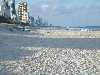 A view of the beaches and buildings of the Gold Coast, an upscale area south of Brisbane.