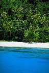 Natural beach on Fiji