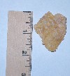 A huge Kellogg's Frosted Flake found on 12/30/2002.
