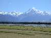 View of Mt. Cook, NZ's highest point, with hayfields and Lake Pukaki in the foreground.